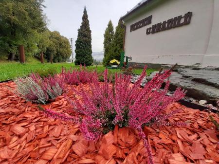 Pension Vrbno pod Pradědem