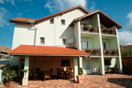 Bed & Breakfast / Pensione Vila Daja_winter Bed & Breakfast / Pensione Vila Daja_winter