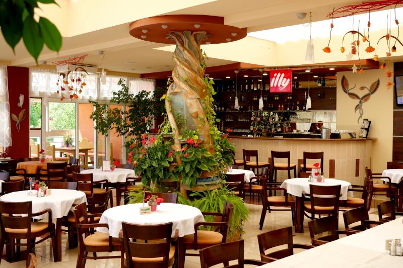 Hotel Wellness-Bereich