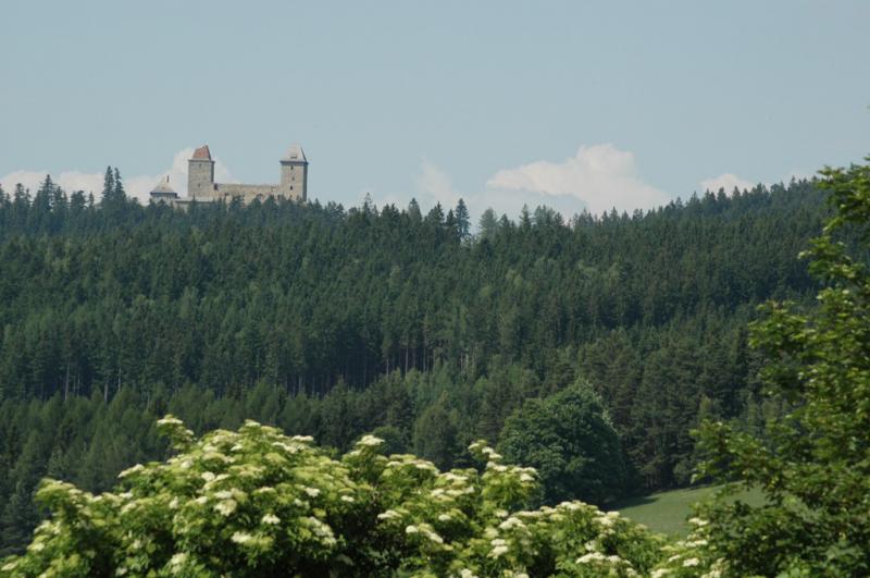 Affittuario privato Sauna