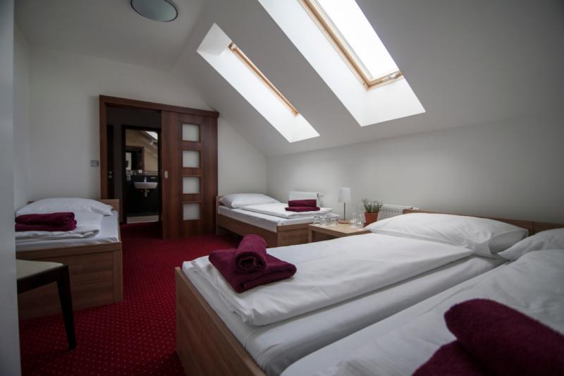 hotel_a_restauarace_krusnohorsky_dvur_-_rodinny_pokoj_-_pohled_do_koupelny_(1).jpg