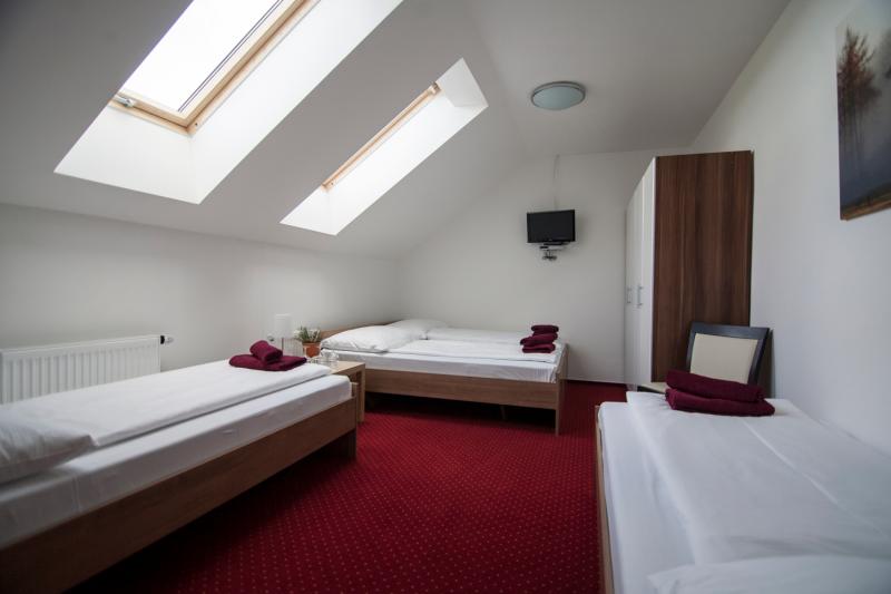 hotel_a_restaurace_krusnohorsky_dvur_-_rodinny_pokoj__(1).jpg