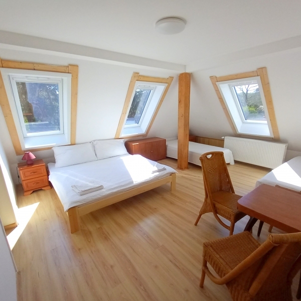 d4.jpg