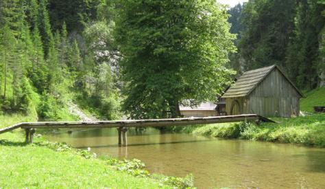 Casa per le vacanze / bungalow Reparto wellness